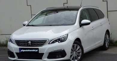 Peugeot 308 (2018) Peugeot 308 (2018)